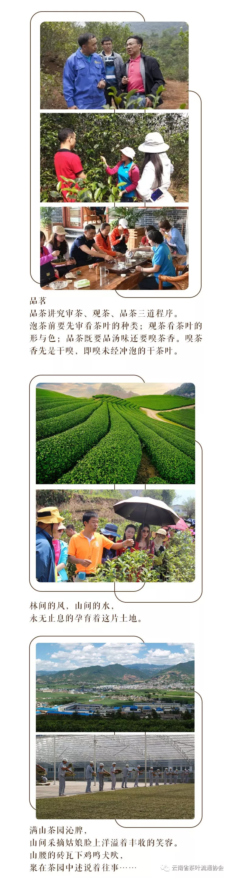 微信圖片_20181119105339.jpg